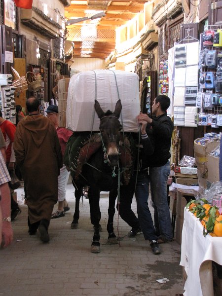 140312_medina muildier met last.jpg - En zoals je ziet, het beest past prima bij de smalle straatjes. Voordat we de medina ingaan krijgen we van de gids te horen dat de kreet "ballach" veel gebruikt word door de begeleider van de dieren. Ballach betekend "opgepast" en is een waarschuwing om snel aan de kant te gaan voordat je omver gelopen word.